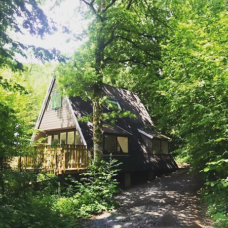 Chalet Het Hulstje Durbuy Εξωτερικό φωτογραφία
