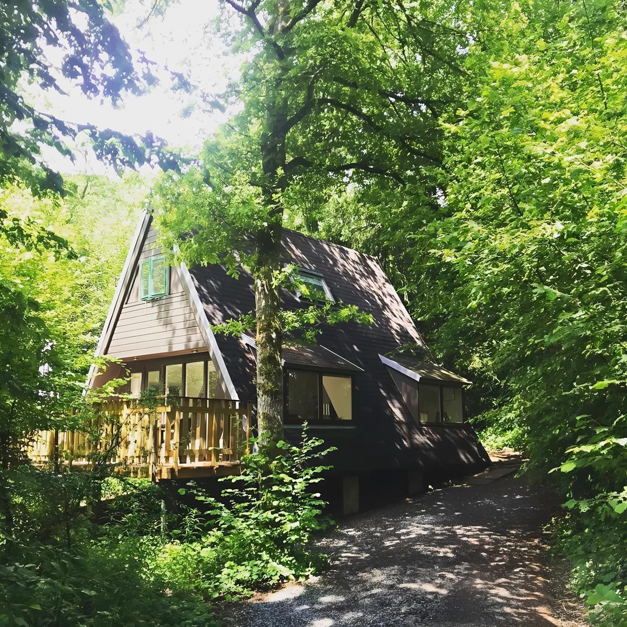 Chalet Het Hulstje Durbuy Εξωτερικό φωτογραφία